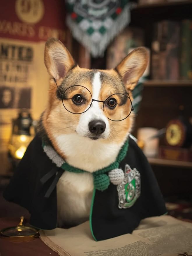 Cat Costumes Halloween 3 Piece Set with Glasses and Neckties, Cat Dog Cosplay Costume Set, Perfect for Party and Gifts for Cat Dog (Green&Black, Large)