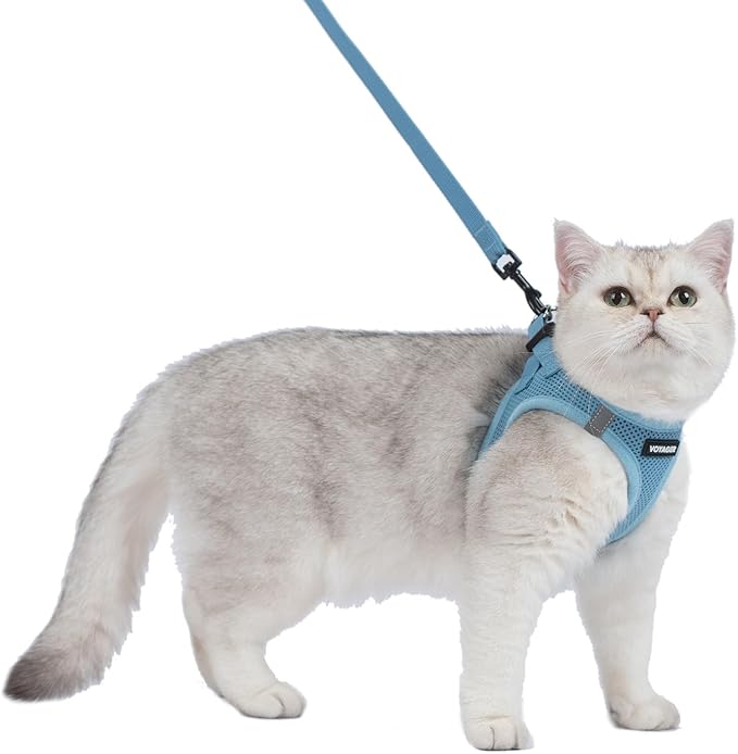 Voyager Step-in Pet Harness - All Weather Mesh, Adjustable Step in Harness for Cats and Dogs by Best Pet Supplies - 307S Baby Blue, XXXS