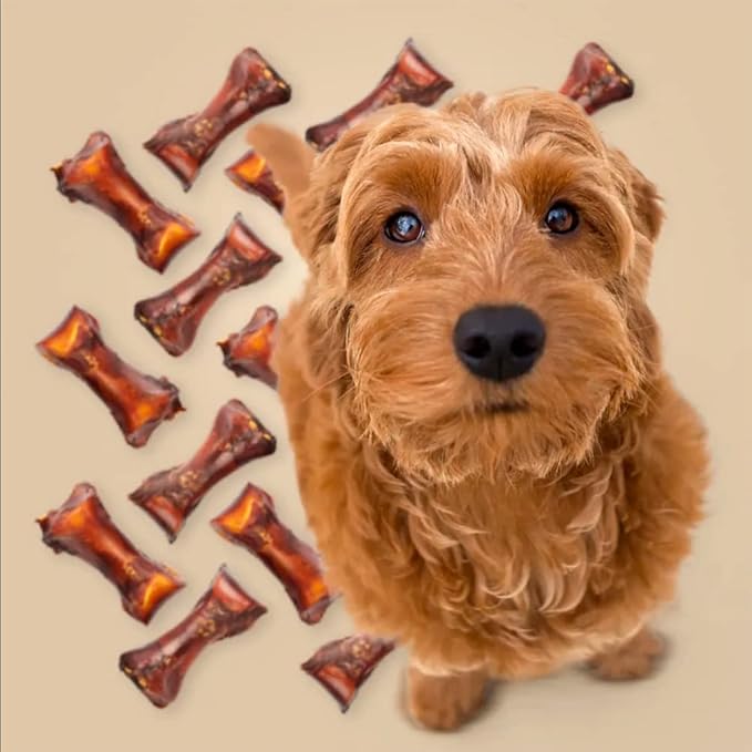 ROAM Pet Treats Small Ostrich Dog Chew, Dog Treat – Long Lasting Ostrich Bones for Dogs, Small to Medium Breeds (Pack of 2)
