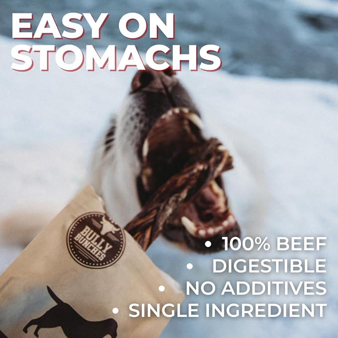 Bully Bunches Beef Jerky Strips - All-Natural Dental Chews for Dogs of All Ages | Fully Digestible & Soft on Teeth -Made from Single Ingredient Beef Esophagus/Gullet (12 Inch, 18 Pack)