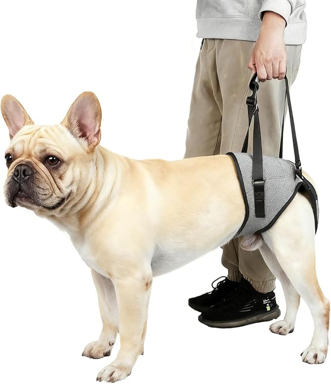 Dog Lift Harness for Dogs, Support Harness for Back Legs, Adjustable Rear Support Harness Grey Small