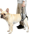 Dog Lift Harness for Dogs, Support Harness for Back Legs, Adjustable Rear Support Harness Grey Medium