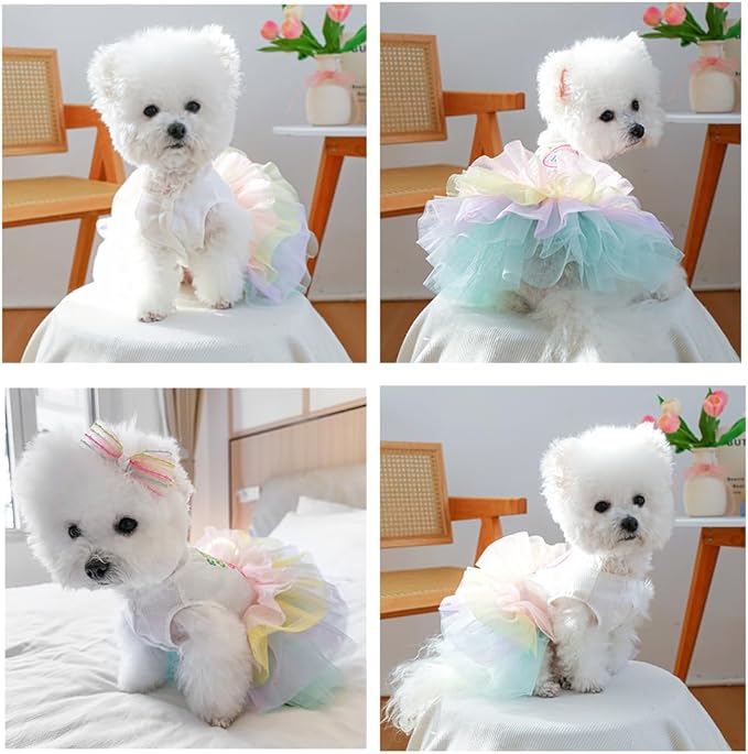ANIAC Happy 1st Easter Dog Dress Girl Holiday Puppy Clothes for Small Dog Easter Cat Outfit Eggs Print Rainbow Doggy Princess Tutu Dress Pet Clothing (Medium)
