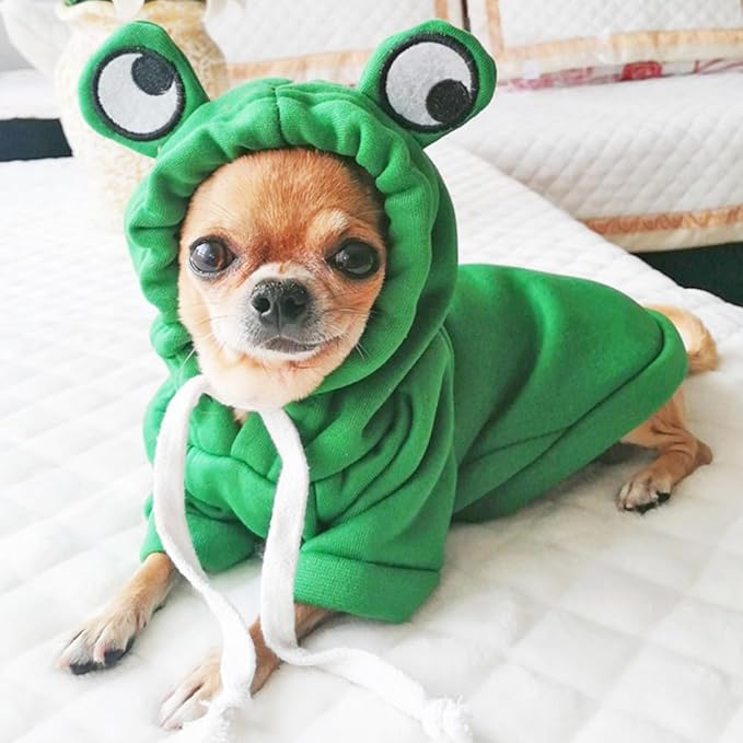 ANIAC Funny Pet Clothes for Small Dog Cat Girl Male Puppy Hoodies Warm Dogs Sweatshirt Coat with Eye Hood Fall Cat Apparel Christmas Halloween Outfit Dog Frog Costume (Green, X-Large)