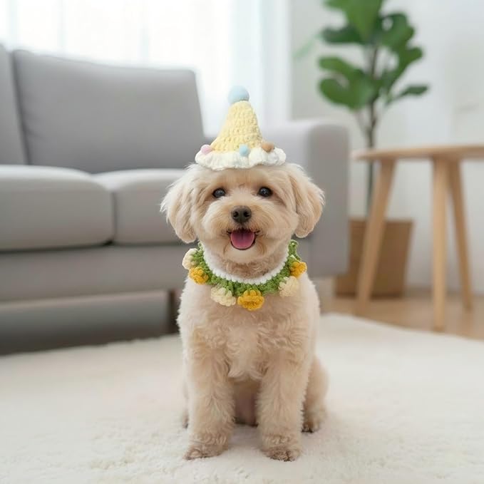 Handmade Knit Cat Outfit – Adjustable Birthday Hat & Floral Wreath Dog Costume for Dogs and Cats, Cute Photo Cat Costume for Party, Holiday, Daily Wear