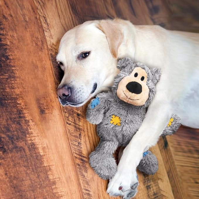 KONG Wild Knots Bears - Durable Dog Toys with Internal Knotted Ropes and Minimal Stuffing for Less Mess (Assorted Colors) (Small/Medium (2 Pack))