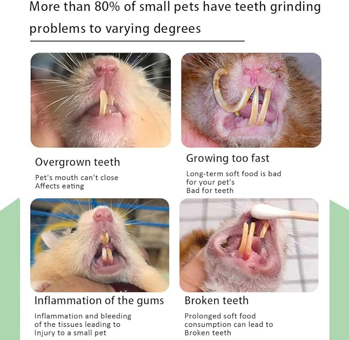Rabbit Chew Toys Cleans The Mouth, Guinea Pig Chew Toy Protect Teeth, Apple Sticks Timothy Grass Sticks Bamboo Sticks for Rabbits Rabbit Chews Helps Digestion Chinchilla Treats