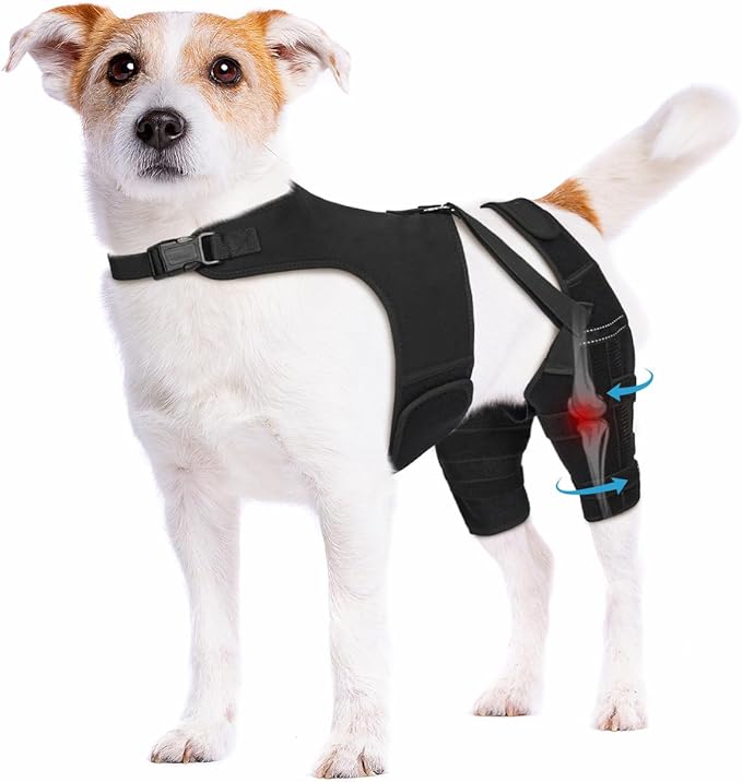 Dog Knee Brace for Torn ACL Hind Leg, Dog Leg Braces Helps with Torn CCL, Luxating Patella, Ligament Injuries, Hip Dysplasia XS