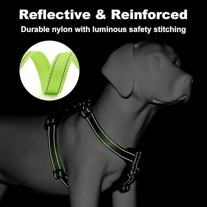Plutus Pet Adjustable No Pull Dog Harness with Leather Accents, Heavy Duty Reflective Nylon Vest for Training, Hiking, Easy Walk Harness for Small, Medium, Large Dogs (Green, S)