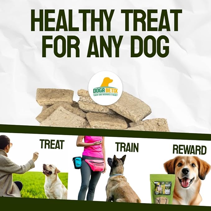 Ella's Diabetic Dog Treats 16 oz - Pumpkin and Chicken- Low Glycemic Ingredients - Vet Approved - Made in USA by Owners of Diabetic Dogs - Designed to Help Keep Sugar Levels Balanced