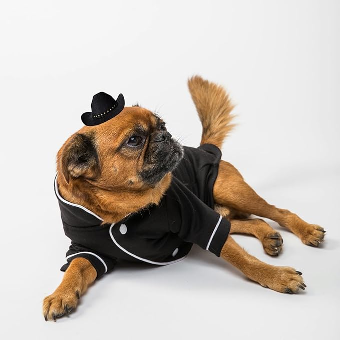 Dog Cowboy Hat Cat Cowboy Hat Mini Cowboy Hat for Dogs Cat Pet Cowboy Costume with Bandana Scarf Holiday Halloween Pet Party Decoration (Black, Small)