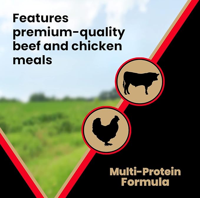 VICTOR Super Premium Dog Food – High Energy Dry Dog Food for Active Dogs – Gluten Free Canine Kibble with Beef and Chicken Meal Proteins for Sporting Dogs – All Breeds and All Life Stages, 40 lb