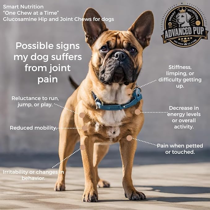 AdvancedPUP Dog Hip and Joint Supplement Chews – Glucosamine, Chondroitin, MSM & Turmeric – Mobility & Joint Support for Dogs – Bacon Flavor Soft Chews – 90 Count – Made in USA