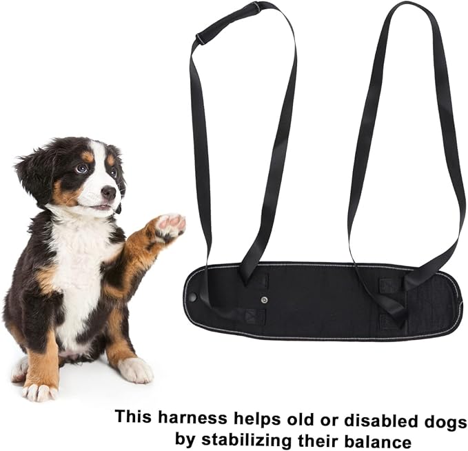 Mipcase 2pcs Portable Pet Support Rear Lifting Sling for Dogs Weak Hind Legs for Assisting Mobility Senior and Disabled Dogs Random