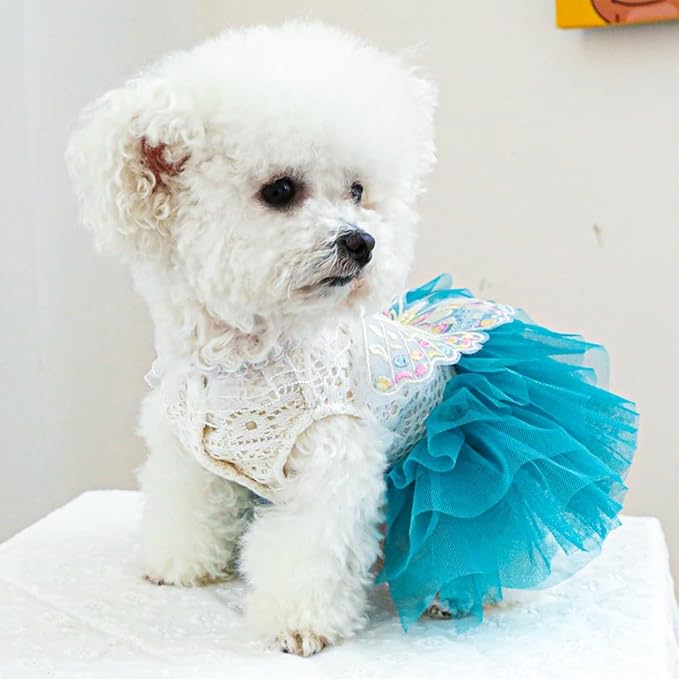 ANIAC Butterfly Dog Dress with Blue Tutu Funny Pet Clothes with Wing Girl Puppy Dress for Small Dogs Pet Butterfly Costume Holiday Cat Outfit for Halloween Birthday Wedding (Lake Blue, Small)