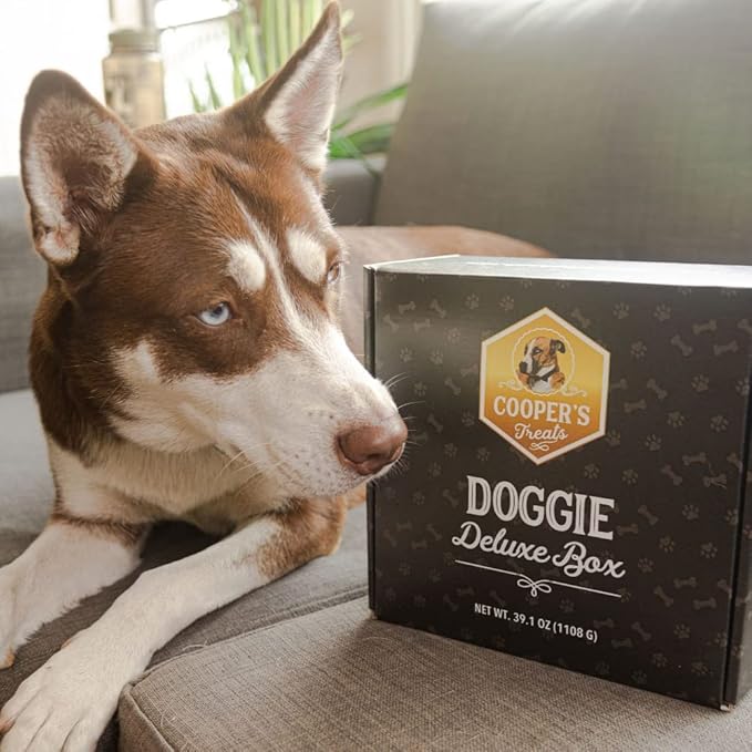 Cooper's Treats Doggie Deluxe Box - Make-at-Home Dog Treat Kit (Contains Four Jars of Treat Mix for Both Frozen and Baked Treats, Plus Lots More Goodies - The Perfect Dog Gift Box!)