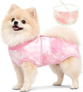 Dog Surgery Recovery Suit, E-Collar & Cone Alternative, Surgical Onesie for Dogs Cat Female Male After Spayed, Soft Body Suits Post Spay Neuter, Small Pet Anti Licking Abdominal Wounds Onesies,Onsie S