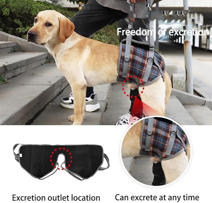 Dog Lift Harness with Handle – Adjustable Pet Support Sling for Rear Legs & HIPS, Padded Detachable Handle, Senior Dog Mobility Aid & Post-Surgery Walking Help(Hint Legs Blue,M)