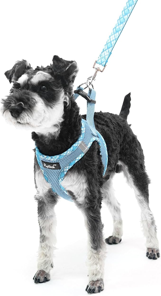 PUPTECK Dog Harness and Leash Set for Small Medium Dogs No Pull Step-in Soft Mesh Puppy Cat Vest Harnesses Reflective at Night, Sky Blue, S