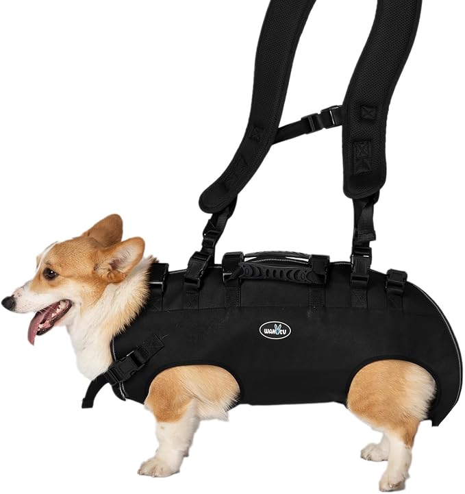 Dog Lift Harness, Pet Support & Rehabilitation Sling Lift Adjustable Padded Breathable Straps Dog Lift Harness for Dogs, Disabled, Joint Injuries, Arthritis, Loss of Stability Dogs Walk(16.5-33LBS)
