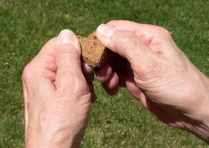 Zero/G Roasted Lamb Recipe Mini Dog Treats, 12 oz