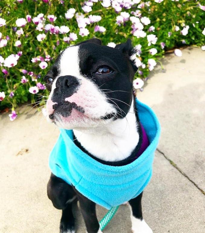 Gooby Stretch Fleece Vest Dog Sweater - Mint, Small - Warm Pullover Super Stretchy Fleece Dog Jacket for Small to Large Dogs