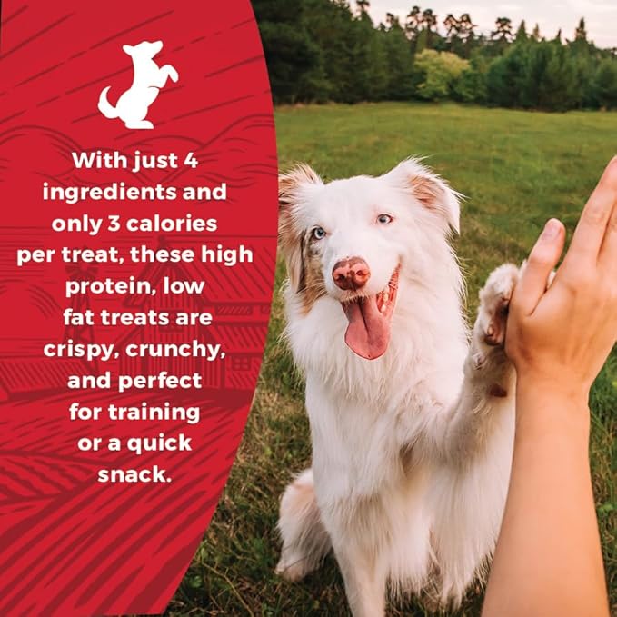 Beef & Bully Collagen Puff Treats for Dogs for Rewarding and Training | 6 oz Bag