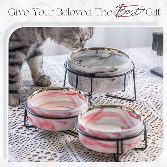 Dazzling Ceramic Elevated Cat Bowls, Gift for Cat Owner, Birthday (Medium,Grey)
