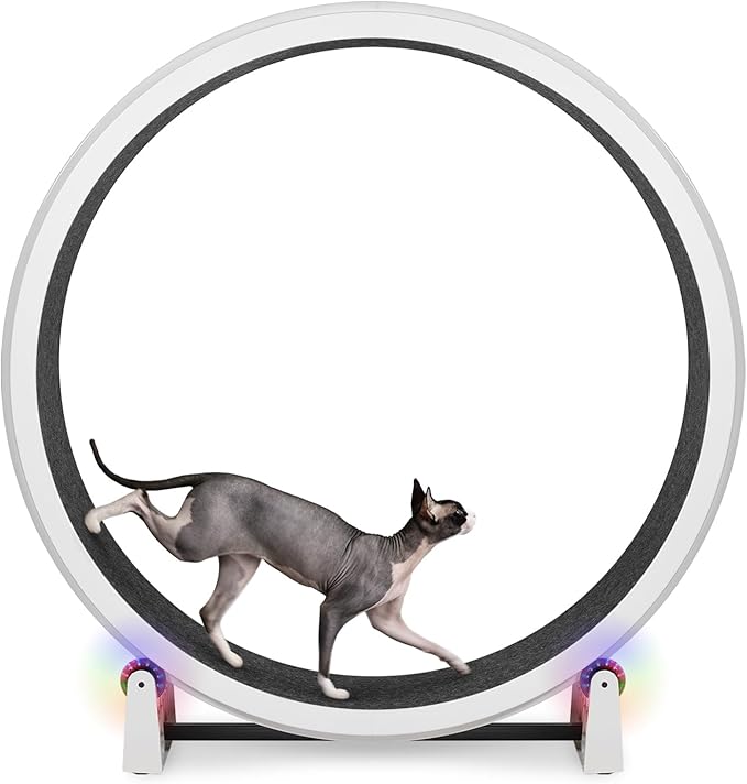 One Fast Cat - Cat Exercise Wheel - Gen. 7 - Safe 48" Diameter - Made in The USA - White Wheel with Black Felt Traction Pads and Light-Up LED Inline Wheels