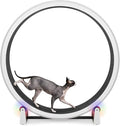 One Fast Cat - Cat Exercise Wheel - Gen. 7 - Safe 48" Diameter - Made in The USA - White Wheel with Black Felt Traction Pads and Light-Up LED Inline Wheels