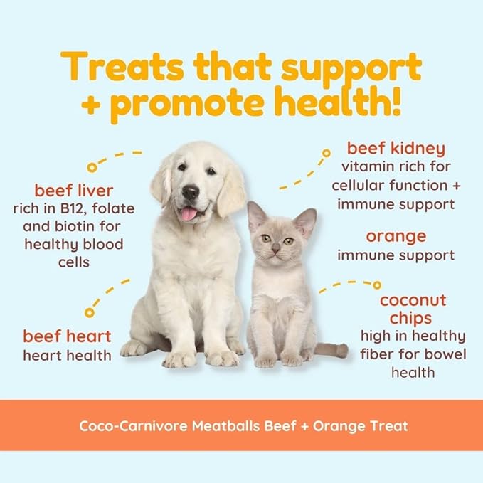 Coco-Carnivore Meatballs – Beef/Orange/Coconut, 2.5 oz