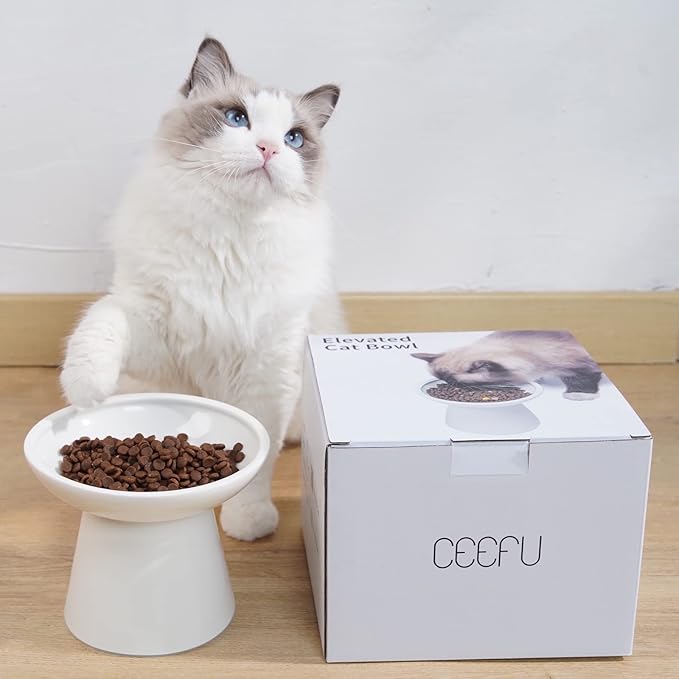 CEEFU Extra Wide Elevated Ceramic Cat Bowl - 6.2" Shallow Dish for Whisker Fatigue Relief, 5" Height for Easy Feeding, Lead & Cadmium Free, Durable Raised Cat Food Bowls, White
