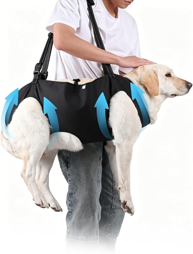 Dog Lift Harness, Full Body Support Sling，Adjustable Handle & Open Crotch Design for Senior, Disabled, Injured Dogs, Help with Walking, Climbing Stairs, Car Travel(Blue,Medium)