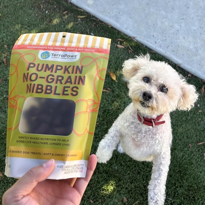 TerraPawz Vegan Dog Training Treats for Sensitive Stomachs – Pumpkin Flavor, Plant-Based & Grain-Free with Turmeric & Omegas for Digestive Health, for All Dog Sizes Including Large Breeds (8 oz)