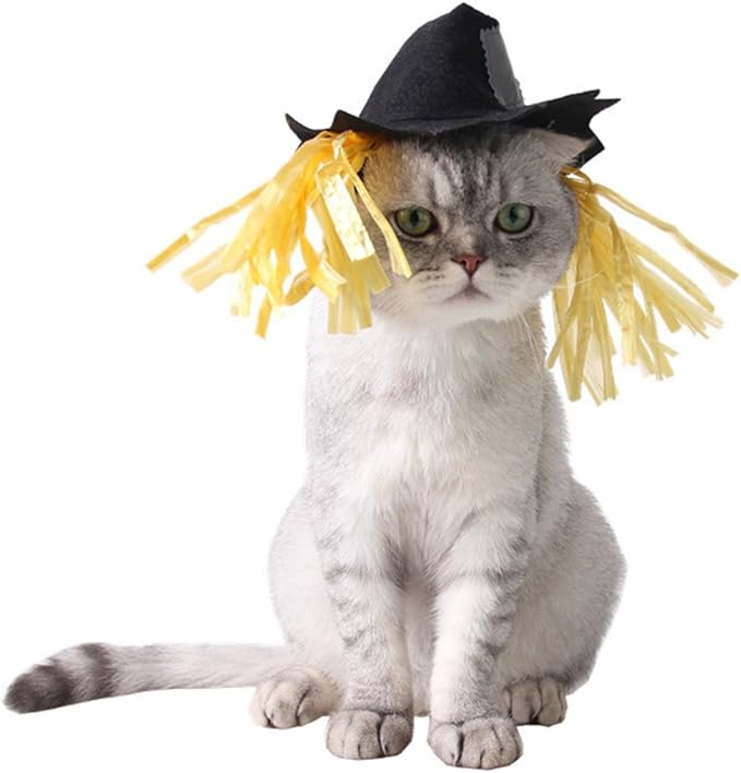 NAMSAN Halloween Cat Costume, Small Dogs Scarecrow Hat with Wig, Pet Wig Scarecrow Hat Outfit for Kitten Puppy Statue Toys Decoration, Festival Cosplay Apparel