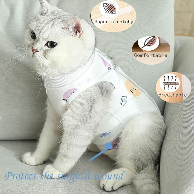 Cat Recovery Suit Female Kitten Onesie for Cats After Surgery Female Spay Surgical Abdominal Wound Skin Diseases Cone Collar Soft Alternative Wear (Cat, L)