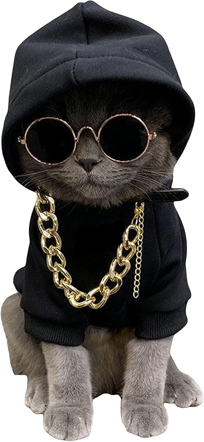 QWINEE 3Pcs Dog Hoodie Cat Apparel Dog Custume Set with Necklace and Sunglasses Pet Clothes for Puppy Small Medium Dogs Cats Multicolor XL
