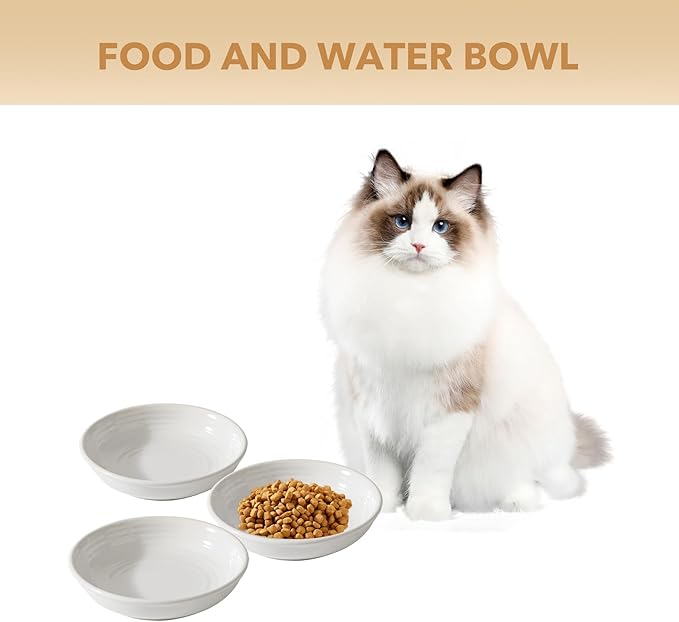 Havniva Ceramic Wide Whisker Friendly Cat Dishes, Set of 3 Ceramic Cat Bowls, Anti-Slip Indoor Kitten Feeding Food& Water Dish to Prevent Whisker Fatigue(3 Pcs, White)