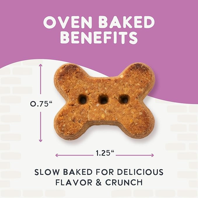 Health Extension Oven-Baked Dog Treats, Peanut Butter Recipe – Gluten & Wheat-Free, Superfood-Infused, Crunchy Biscuits for Puppy Training (2.25 lb)