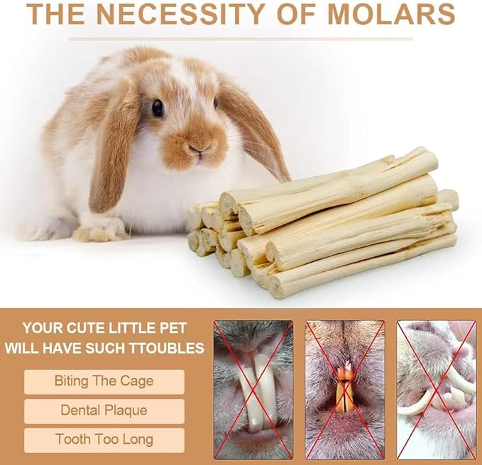 300g Guinea Pig & Rabbit Chew Toys with Apple & Timothy Sticks - Prevent Overgrown Teeth with Sweet Bamboo Treats - Ideal Rabbit Treats Included