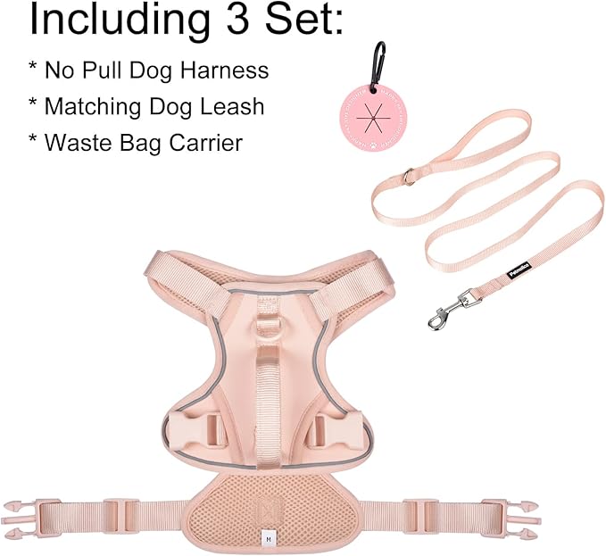 Petmolico Dog Harness for Small Dogs, Cute Harness Vest with Two Leash Clips and Soft Handle, Reflective Easy Walk Puppy Vest - Pink, X-Small