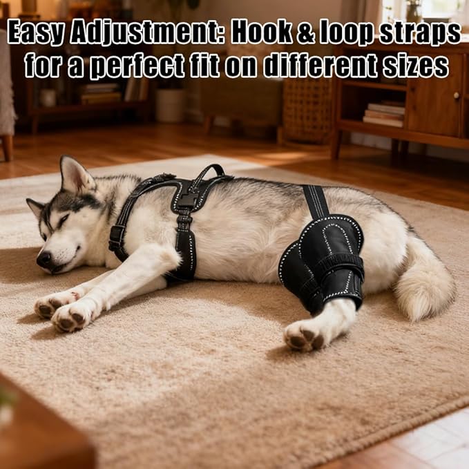 Vivifying Dog Hip & Leg Support Harness for Mobility Assistance, Adjustable Rear Leg Brace with Lift Handle for Injured or Senior Dogs, Joint Stabilizing Hind Leg Support for Walking, Recovery (XL)