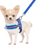 SlowTon No Pull Small Dog Harness and Leash Set, Puppy Soft Vest Harness Neck & Chest Adjustable, Reflective Lightweight Harness & Anti-Twist Pet Lead Combo for Small Medium Dogs (DB-Front Clip, XXS)