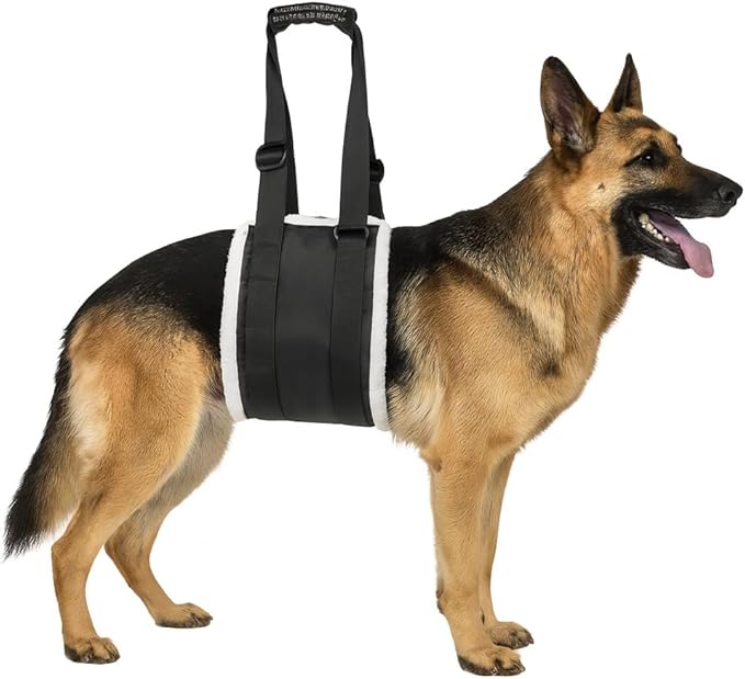 Adjustable Dog Lift Harness – Rear Leg Support Sling for Large Dogs | Mobility Aid for Senior, Injured & Post-Surgery Pets, ACL Surgery Dogs | Soft, Durable & Comfortable