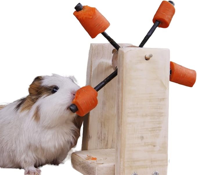 Rotating Feeding Toy for Guinea Pigs, Rabbits, Hamsters, Chinchillas, Rats, Foraging Food Holder Wheel, Guinea Pig Cage Accessories, Cavy treats, Toy for small animals
