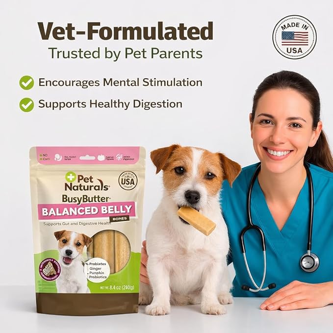 Pet Naturals BusyButter Balanced Belly Bones for Small Dogs – 22 Count, Rawhide-Free Long Lasting Chews with Probiotics, Prebiotics & Pumpkin for Dog Digestive & Gut Health Support, Peanut Butter