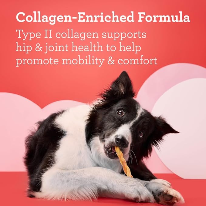 DreamBone CollaYUMS Twists Plus Collagen Chews for Dogs, 10 Count, Treat Your Dog to Rawhide-Free Chews Made with Chicken, Vegetables and Peanut Butter (Pack of 2)