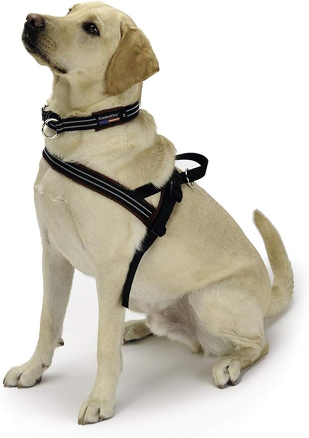 ComfortFlex Sport Dog Harness – No-Choke, Fully Padded, Non-Chafing Harness with Control Handle – Reflective, Lightweight, Adjustable for Active Dogs - XXSmall, Berry