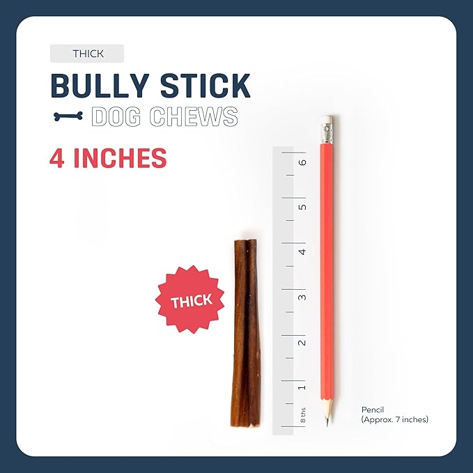 Big Lu - 4” Thick Bully Sticks, 10 Count, Long-Lasting, 100% Grass-Fed Beef Chews, for Small and Medium Dogs, Natural Single-Ingredient, Fully Digestible Treats