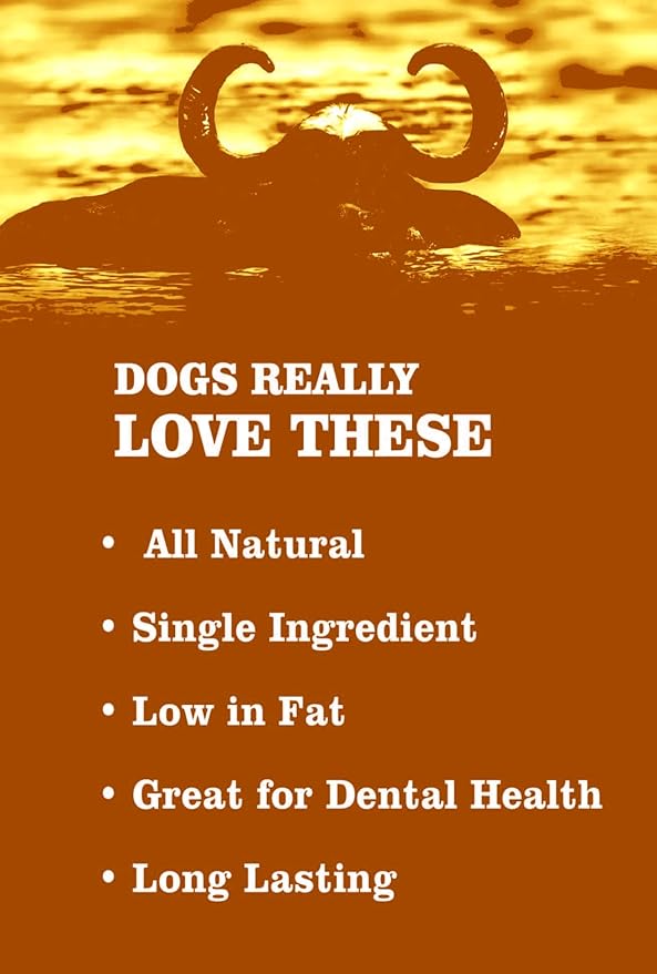 QT Dog Water Buffalo Trotter - Long-Lasting 100% Natural Single Ingredient Dog Chew - Ethically Sourced, Protein-Packed & Low Fat Bone - Ideal for Medium to Large Breeds & Aggressive Chewers